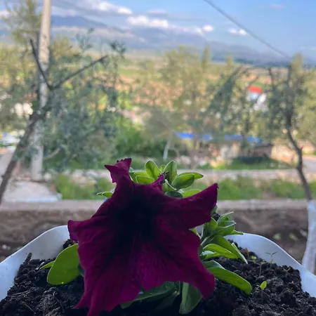 Vokopola Saranda